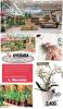 Akcija Mercator katalog vina, 23. februar do 8. mart 2017 52289