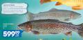 Roda Losos Pastrmka, 1kg