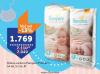 TEMPO Pampers Premium Care pelene