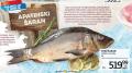 Roda Riba Apatinski šaran, 1kg