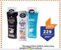 TEMPO Šampon za kosu Gliss, 250ml
