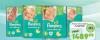 Aman doo Pampers Active baby dry pelene