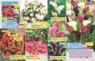 Akcija Floraekspres katalog proleće-leto 2017 53628