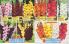 Akcija Floraekspres katalog proleće-leto 2017 53631