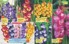 Akcija Floraekspres katalog proleće-leto 2017 53632