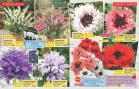 Akcija Floraekspres katalog proleće-leto 2017 53642