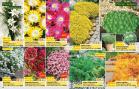 Akcija Floraekspres katalog proleće-leto 2017 53645