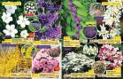 Akcija Floraekspres katalog proleće-leto 2017 53653