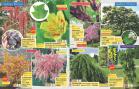 Akcija Floraekspres katalog proleće-leto 2017 53658