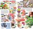 Akcija Mercator katalog, 23. mart do 5 april 2017 53763