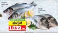 IDEA Morska riba orada, brancin, 1 kg