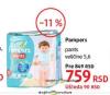 DM market Pampers Pants pelene