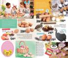 Akcija Mercator katalog akcija, 6-19. april 2017 54361