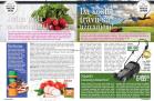 Akcija Gomex magazin, 7-20. april 2017 54373