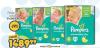 Aman doo Pampers Active baby dry pelene