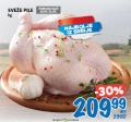 Roda Sveže pile, 1kg
