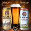 IDEA Paulaner Svetlo pivo 0,5 u limenci