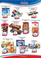 Akcija Katalog AD Podunavlje akcija, 12-24. jun 2017 57518