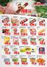 Akcija Katalog Metalac Promet akcija, 9-28. jun 2017 57536