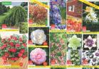 Akcija Katalog Floraekspres rasprodaja leto 2017 57916