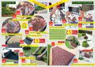Akcija Katalog Floraekspres rasprodaja leto 2017 57925