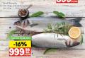 IDEA Brancin sveža morska riba, 1 kg