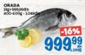 Roda Orada morska riba, 1kg