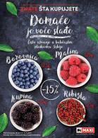 Akcija MAXI katalog akcija, 29. jun do 12. jul 2017 58356