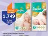 TEMPO Pampers Premium Care pelene