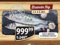 MAXI Morska riba Brancin, 1kg