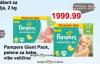 Dis market Pampers Active baby dry pelene