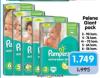 Aksa Pampers Active baby dry pelene