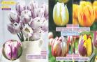 Akcija Flora Ekspres katalog jesen 2017 62356