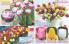 Akcija Flora Ekspres katalog jesen 2017 62358