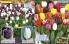 Akcija Flora Ekspres katalog jesen 2017 62360