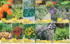 Akcija Flora Ekspres katalog jesen 2017 62374