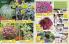 Akcija Flora Ekspres katalog jesen 2017 62376
