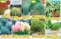Akcija Flora Ekspres katalog jesen 2017 62377