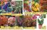 Akcija Flora Ekspres katalog jesen 2017 62380