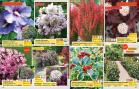 Akcija Flora Ekspres katalog jesen 2017 62382