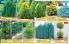 Akcija Flora Ekspres katalog jesen 2017 62386