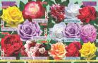 Akcija Flora Ekspres katalog jesen 2017 62388