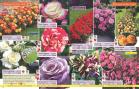 Akcija Flora Ekspres katalog jesen 2017 62389