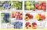 Akcija Flora Ekspres katalog jesen 2017 62396