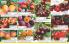 Akcija Flora Ekspres katalog jesen 2017 62397