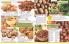 Akcija Flora Ekspres katalog jesen 2017 62399