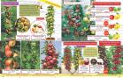 Akcija Flora Ekspres katalog jesen 2017 62402