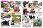 Akcija Flora Ekspres katalog jesen 2017 62406