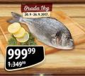 MAXI Orada morska riba, 1kg