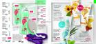 Akcija Oriflame katalog kozmetike oktobar 2017 62874